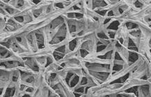 Non-plant-based fiber filter material